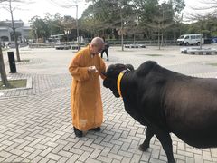 -天坛大佛