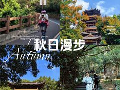 -杭州半山国家森林公园