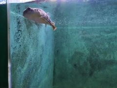 -常州海昌海洋探索馆