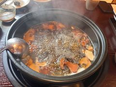 -滇野云南野生菌餐厅(陕西南路店)