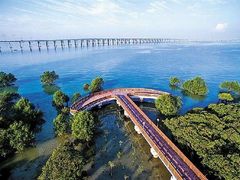 -宝安西湾红树林湿地公园