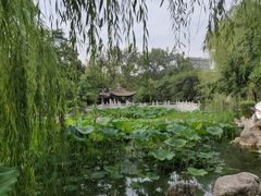 -莲湖公园