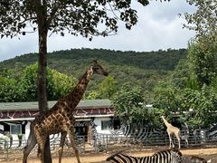 -大连森林动物园