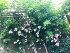 -红烧鱼头·杭帮菜·特色烧烤
