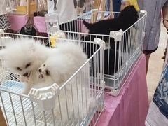 -宁波鄞州万达广场
