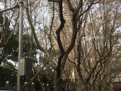 -上海交通大学医学院附属瑞金医院(总院)