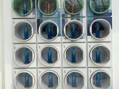 -精绝七日-新疆尼雅遗址数字大展【拉法耶文化艺术中心】