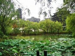 -长兴太湖图影湿地文化园