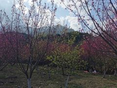 -福清灵石山国家森林公园