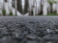 -合肥滨湖国家森林公园