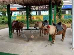 -萌宠亲子动物乐园(槐房万达店)