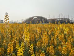 -中国天府农业博览园