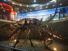 -国家自然博物馆