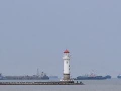 -上海滨江森林公园