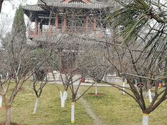 -西安青龙寺遗址景区