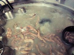 -平安桥张氏肥肠粉