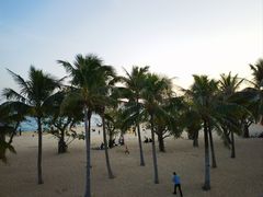 -大梅沙海滨公园