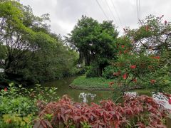 -广州长隆飞鸟乐园