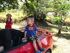-丽姐租车