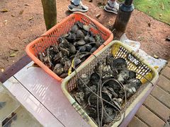 -东寨港红树林旅游区