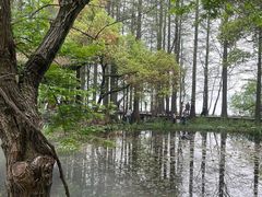 -东湖落雁景区