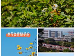 -狐尾山公园
