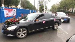 -蚂蚁婚车