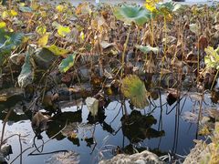 -南师大仙林校区东区食堂