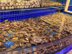 -乔哥铭洋海鲜自助(皇城恒隆广场店)