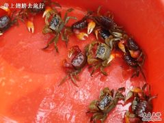 -小洲村