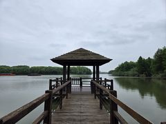 -苏州太湖国家湿地公园