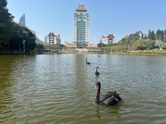 -厦门大学(思明校区)