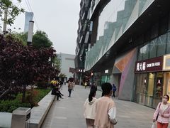 -远洋未来汇
