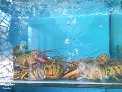 -南海渔家•海鲜•正宗海南菜(海棠湾店)