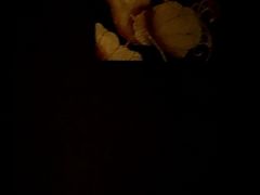 -泰和宫养生会馆(长江路店)