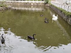 -黔灵山公园