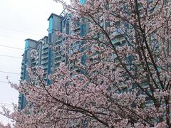 -西北湖绿化广场