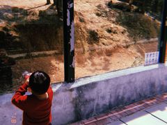 -泉州海丝野生动物世界