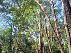 -南国桃园旅游度假区