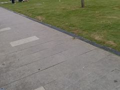 -巢爷老味(东方红店)