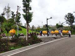 -枫香湖儿童公园