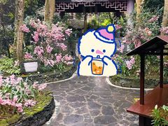 -海口观澜湖火山温泉谷