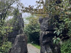 -山王坪喀斯特国家生态公园