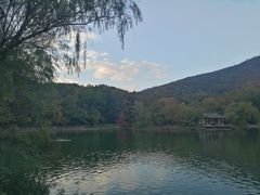 -紫霞湖公园