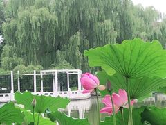 -丰台花园
