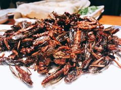 -八大碗·地道东北菜(白塔堡店)