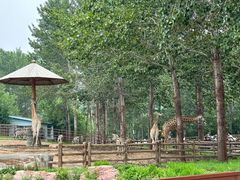 -大连森林动物园