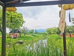 -长田漾湿地公园