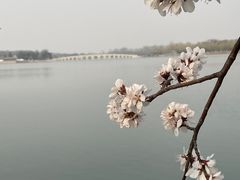 -颐和园