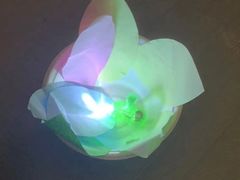 -金宝贝早教(和悦汇店)